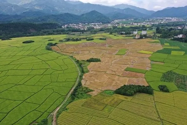 廣西桂林市農(nóng)業(yè)農(nóng)村綜合發(fā)展中心到永?？h調(diào)研指導(dǎo)化肥減量增效示范項(xiàng)目工作